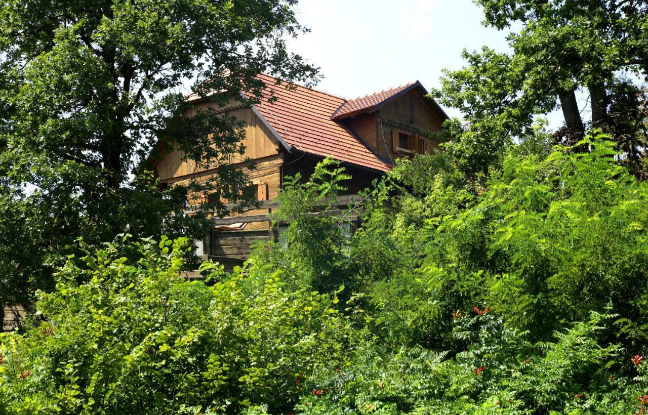 Kuca Suncani Brijeg Pokupsko Zewnętrze zdjęcie